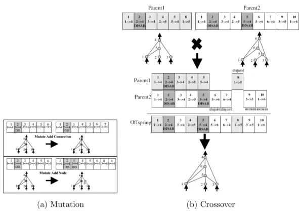 Figure 2.2: Figure 2.2a shows how NEAT [141] mutates a chromosome (rep- (rep-resenting a neural network) by either incrementally adding a node (neuron) or a edge (weight) between two nodes