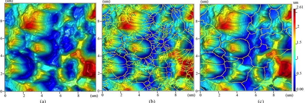 Figure 1.  (a) Stereo SEM image of a representative titanium sample surface. (b) AFM image of sample S3 (form removal by levelling and 8 m L-filtering)