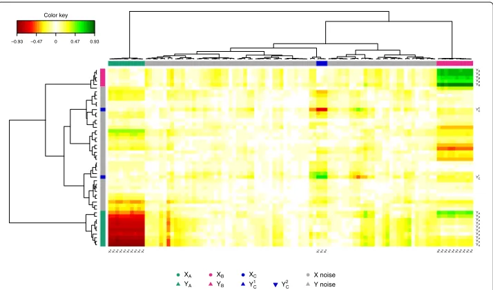 Figure 3 CIM for the simulation study. CIM on the simulated data with the PLS-can method