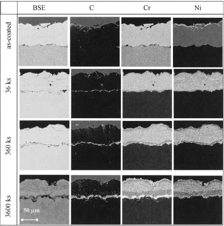 Fig. 3EPMA elemental mapping for the 50Ni-50Cr coatings steam-oxidized for diﬀerent durations at 1023 K.