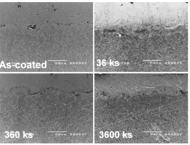 Fig. 5Eﬀect of substrate microstructure adjacent to the coating with steam oxidizing duration.