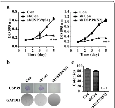Fig. 3 Down-regulation of USP39 inhibited U2OS proliferation abil-ity and colony formation