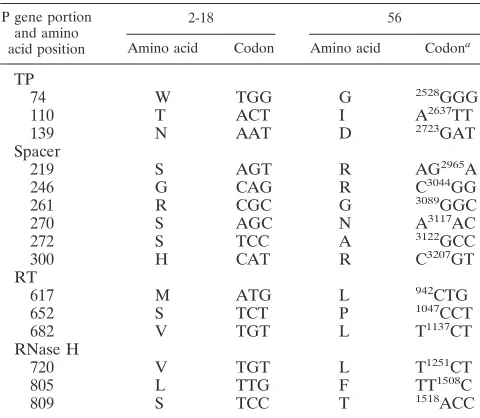 TABLE 2. Differences in nucleotides and predicted amino acids ofHBV polymerase between isolates 2-18 and 56