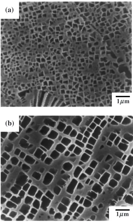 Fig. 3Optical micrograph showing the grain size of ﬁne grain CM 247 LCsuperalloy. The average grain size is 65 mm.