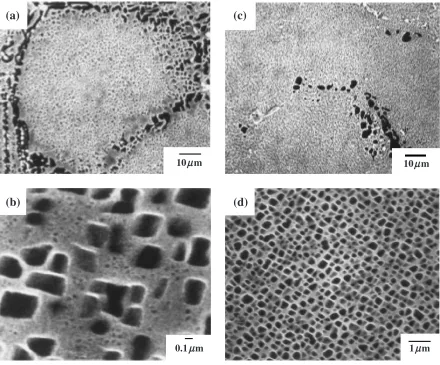 Fig. 6SEM micrographs showing the distribution and size of �0 phase after multi-step 1494 K/2 h + 1353 K/4 h + 1144 K/20 h heattreatment observed at (a) grain boundary, and (b) matrix and after 1527 K/2 h + 1353 K/4 h + 1144 K/20 h heat treatment observed at (c)grain boundary, and (d) the center of grain.