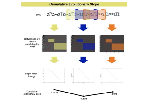 Fig. 3 Comparing regularity of actual and simulated DNA sequences -global. Global slope for the honeybee DNA (red line at −1.7825)sequence and empirical distribution of slopes for 10,000 simulatedrandom DNA-like sequences of length 29 (ASL = 0.0676)