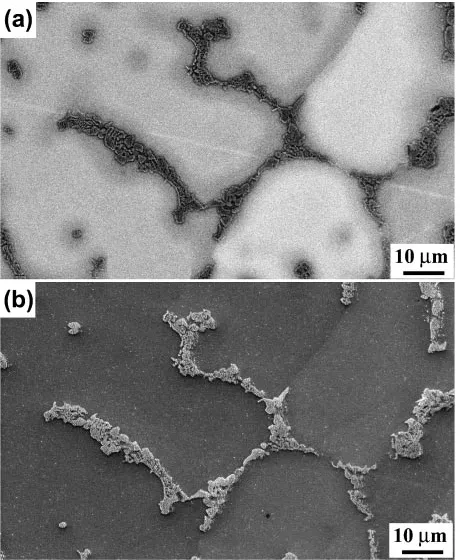 Fig. 5As-prepared microstructures of alloy D. (a) SEM Backscatteredelectron image (COMPO mode) showing the dendrite-matrix compositemicrostructure; (b) SEI image of the same area on the polished surface,showing the relief of the as-polished surface.