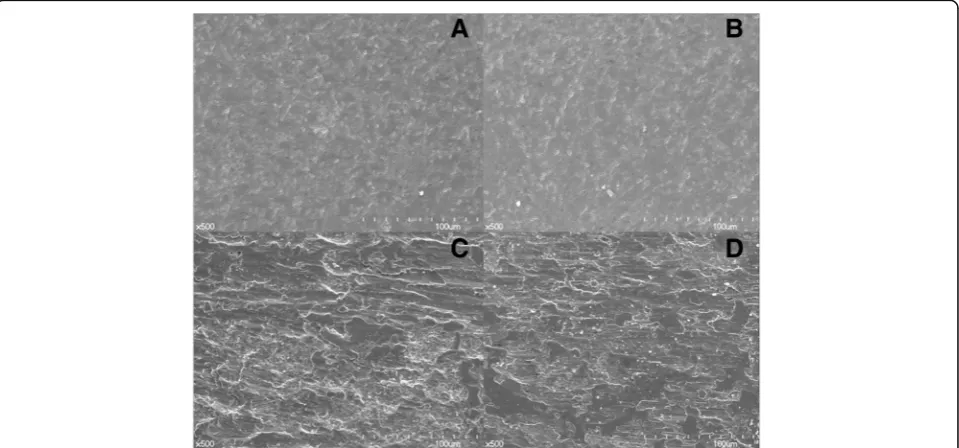 Fig. 3 A diagrammatic model of the steady-state motion of an AFM cantilever with the scaler tip