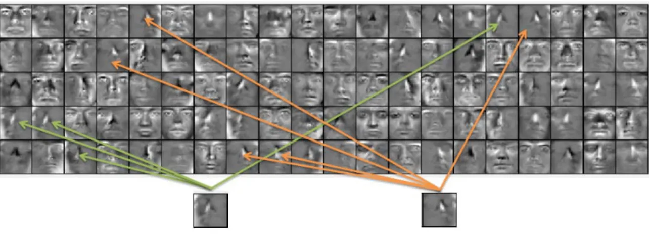 FIGURE 22: 100 receptive ﬁelds learned from Yale Face Dataset using SAE with examples of two duplicative RFs [2].
