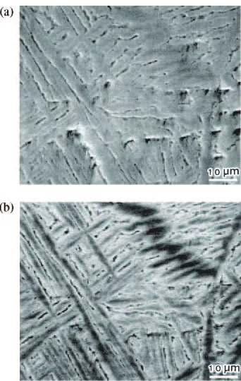 Fig. 6Result of EPMA plane analysis of a laser melted zone diﬀerent from