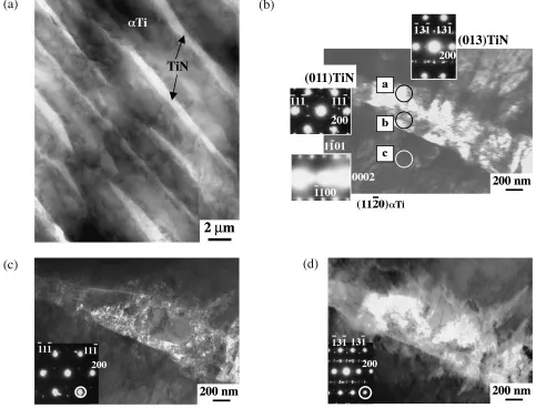 Fig. 10Observation of laser melted zone protected with a shielding gas ﬂow rate of 10 L/min using TEM