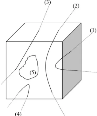 Fig. 1.Closed singularity loops and partial singularity loops inthe phase volume.