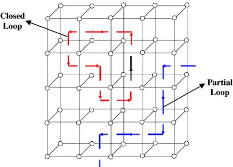 Fig. 5.(Color online) Definition of closed singularity loops andpartial singularity loops in the phase volume.