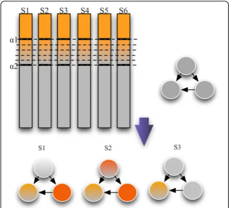 Fig. 1 Schematic demonstrating qPSP’s fuzzification procedure. First,alpha1 at top 10 % was defined