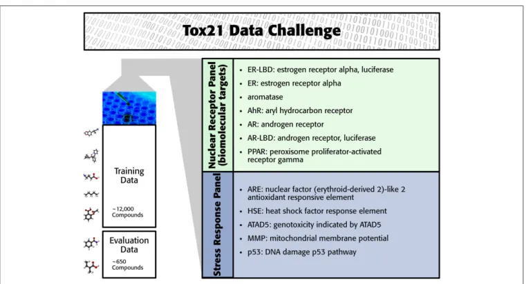 FIGURE 1 | Overview of the Tox21 challenge dataset.