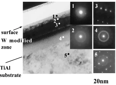 Fig. 4TEM bright ﬁeld image and electron diﬀraction patterns of the W-implanted specimen (100 keV, 1021 m�2).