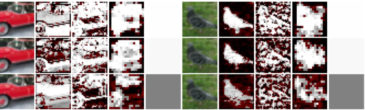 Figure 3.7: Example GIM activations on several images. The full-color images are the inputs;