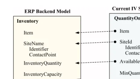 Fig. 2. An exemplary mapping of data between the ERP and the IV system