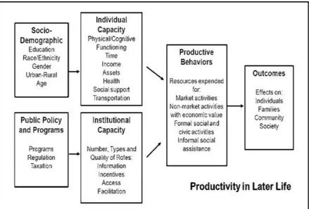 Figure 1.1: The productive ageing framework 