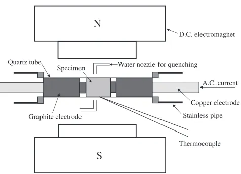 Fig. 1Microstructure of as cast Al-17mass%Si alloy.