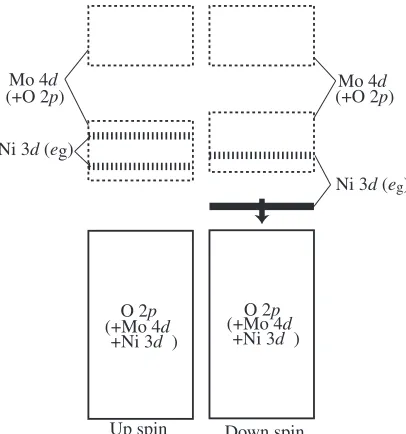 Table 4Theoretical bond lengths and O-M-O angle in MMo6O249�(M=Cr, Co, Ni) in comparison to experimental data of salt crystals.