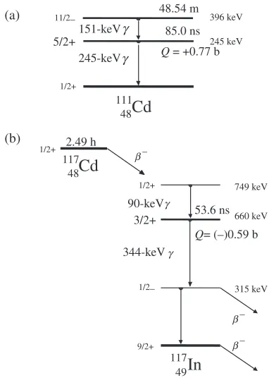 Fig. 2Partial decay schemes of (a) 111mCd!111Cd and (b) 117Cd!117In.