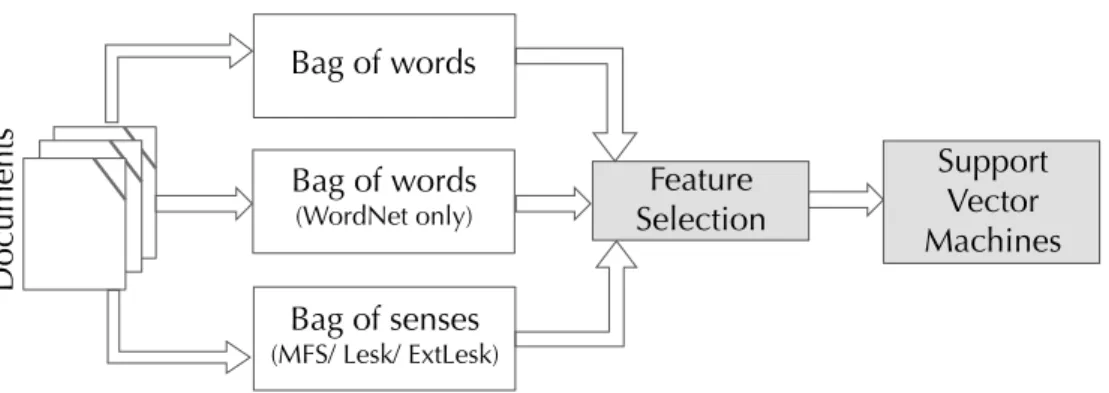 Fig. 3.2: Classification process. Dependent on the experimental settings, we collect for each document either all the words, the words present in WordNet, or all the WordNet senses.