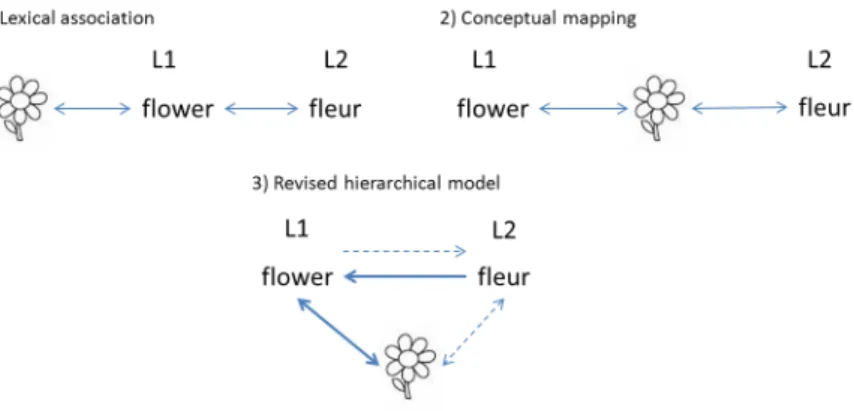 Figure 4.4: Language representation in the minds of language learners. Lexical association (1) and conceptual mapping (2) were both introduced by Potter et al