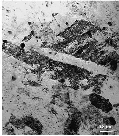 Fig. 6Microstructures of specimens deformed by warm ECAE (8 passes, Route A, 120� die) showing twins in large grains in thetransversal section (a) �200�C, (b) �250�C, (c) �300�C.
