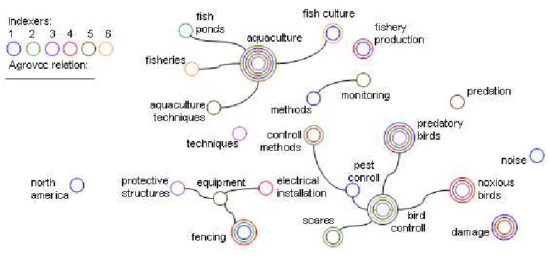 Figure 3.3: Relations between keyphrases assigned to the document on bird predation