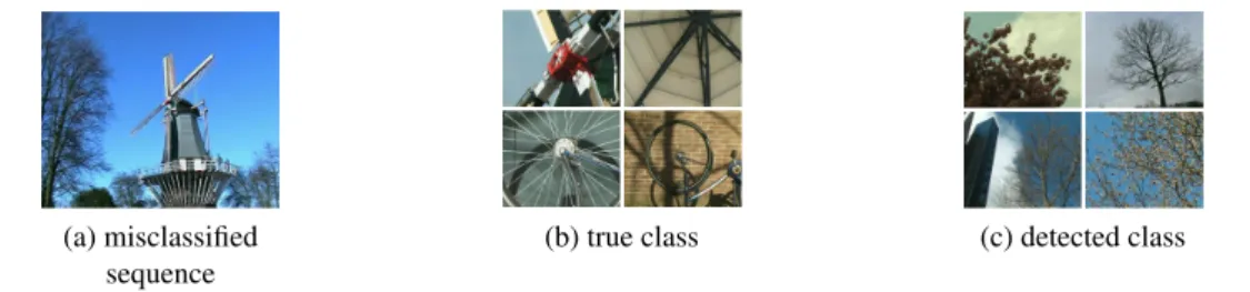 Figure 5: Misclassified sequence of the DynTex beta dataset and sequences examples from the true class and from the detected one
