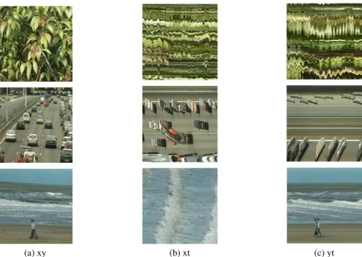 Figure 4: Examples of DT slices in three orthogonal planes of foliage, traffic and sea sequences from the DynTex database