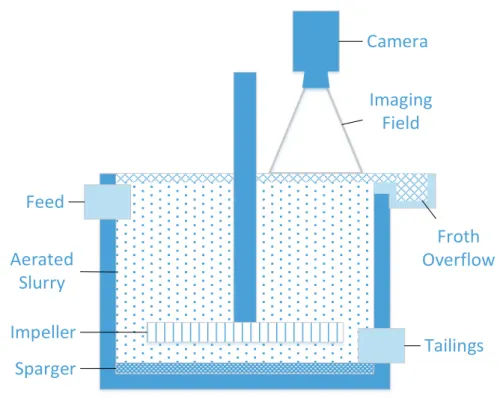Figure 2-3: Flotation Cell Cross-Section Showing Relevant Components and Setup 