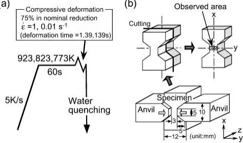 Fig. 1Optical micrograph of the initial microstructure of the steel.