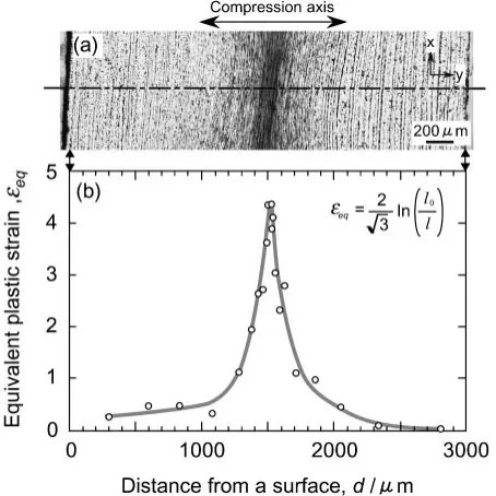 Fig. 3(a) Optical micrograph of the specimen deformed at 773 K and astrain rate of 1 s�1, and (b) distribution of equivalent plastic strain throughthickness.