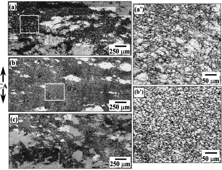 Fig. 3Microstructures developed in 7475 Al during MDF at 490�C and at _" ¼ 3 � 10�4 s�1: (a), (a’) ��" ¼ 2:1, �" ¼ 0:7; (b), (b’)��" ¼ 3:5, �" ¼ 0:7; (c) ��" ¼ 3:6, �" ¼ 0:4