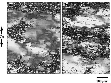 Fig. 8Typical OIM pictures showing the microstructures developed in remained original grains in 7475 Al alloy