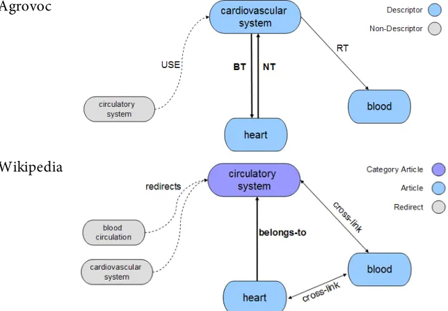 Figure 4.4 Structures in Agrovoc and Wikipedia  