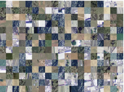 Figure 2.1: A sample of image patches from the NAIP dataset showing tree and non-tree areas.