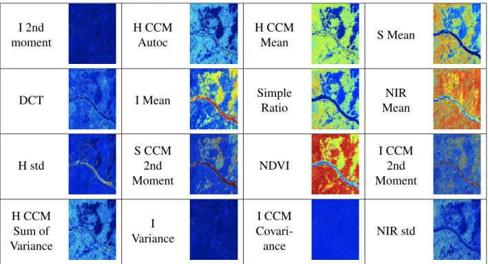 Figure 2.3: Example Features extracted from a sample NAIP tile.