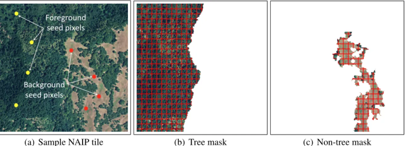 Figure 2.7: A sample NAIP tile with tree and non-tree cover masks generated by the Random Walker Segmentation module by selecting a certain set of foreground and background seed pixels.