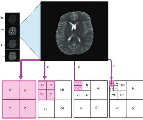 Figure 5 shows the WFCN1 network entropy reduction  diagram for training.