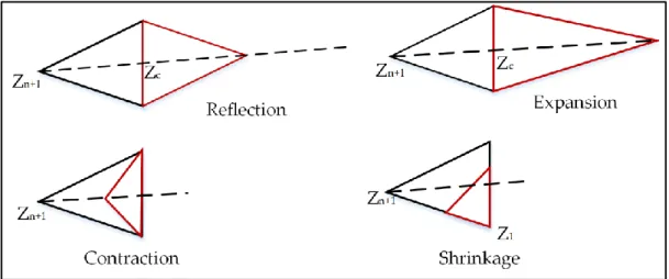 Figure 3.4. Nelder Mead method operations: reflection, expansion, contraction, and shrinkage