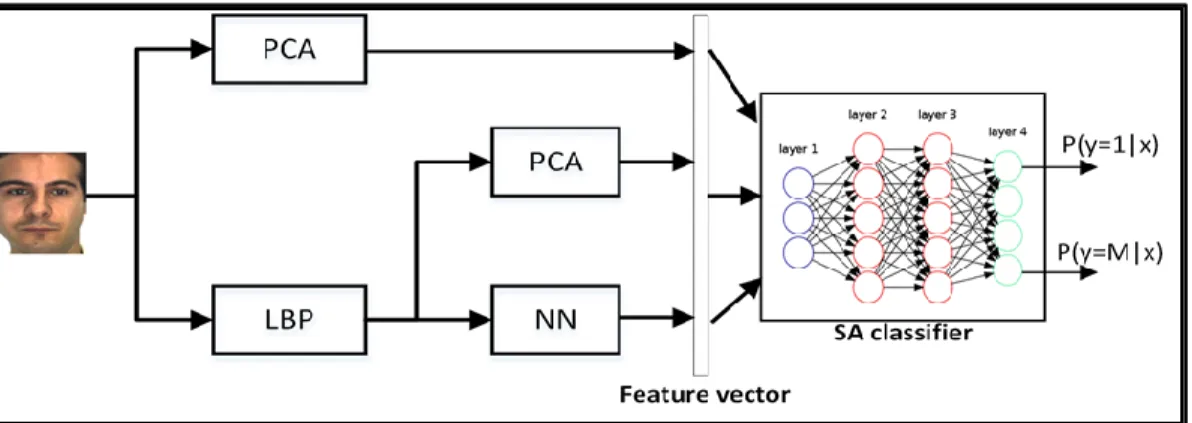Figure 3.5. Our proposed system for face recognition