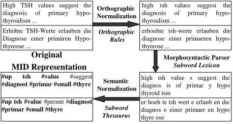 Figure 1: Morpho-Semantic Indexing Pipeline