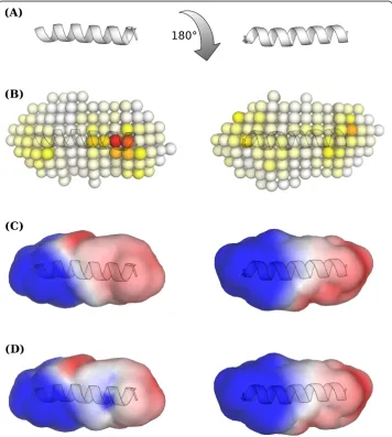 Figure 3 Electrostatic Hull Importance. Importance analysis and implications of the electrostaticpotential classifier