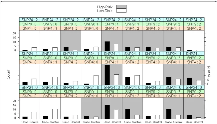 Figure 2 The result of a sample call to ‘plot’ after an MDR fit with three-way split on a simulateddataset with 250 individuals genotyped at 25 SNPs.