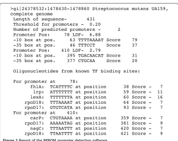 Figure 2 Report of the BPROM promoter detection software.
