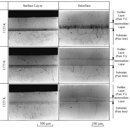 Fig. 5Aspects of the pure titanium layer and the interface.