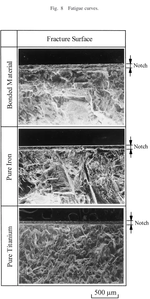 Fig. 8Fatigue curves.